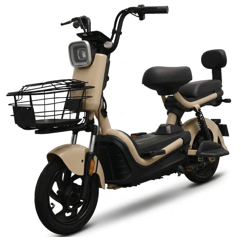 Moto Elétrica Tailg JK30 500W 48V 12Ah - Autonomia 50km no Paraguai