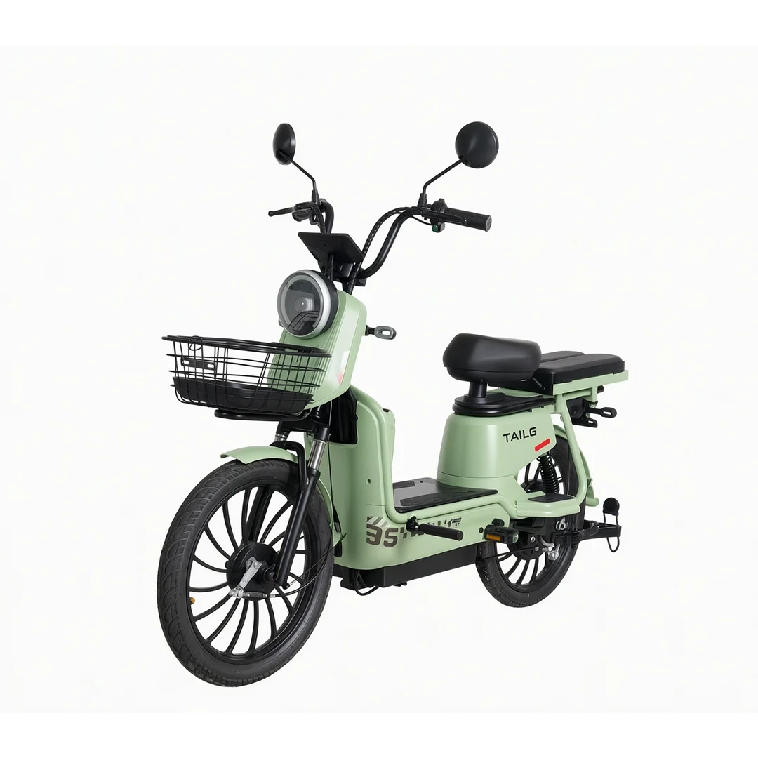 Moto Elétrica TAILG JF35Z 1000W Verde 32km/h Chumbo-Ácido no Paraguai