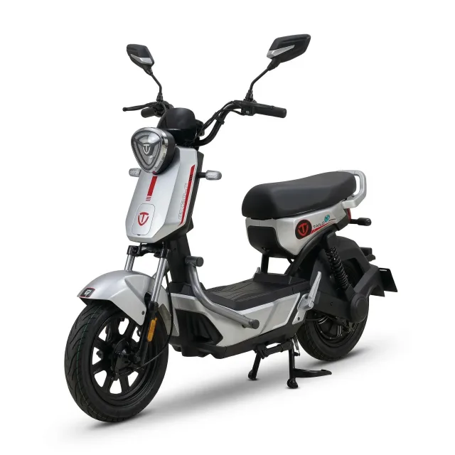 Moto Elétrica Tailg GX30G 1000W - PRATA