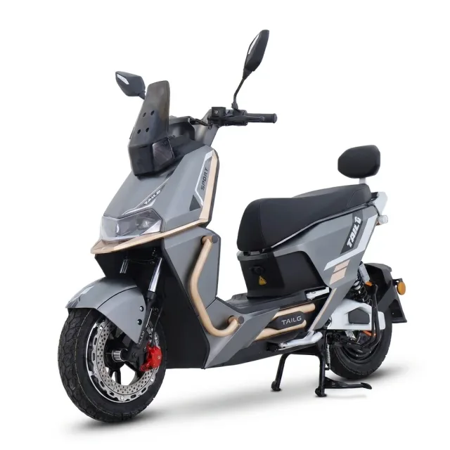 Moto Elétrica TAILG T73 1000W Cinza/Dourado 32km/h no Paraguai
