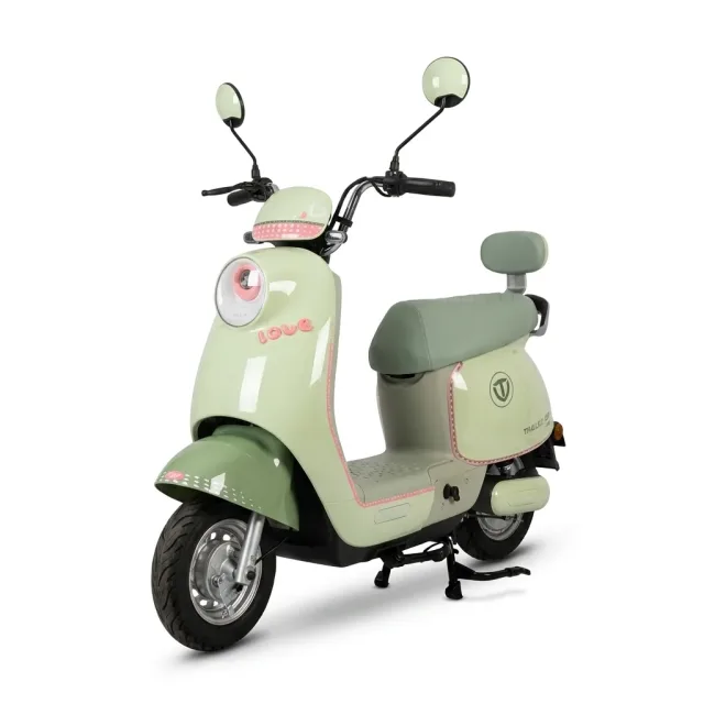 Moto Elétrica Tailg GR52 Love Green 800W 48V20Ah no Paraguai